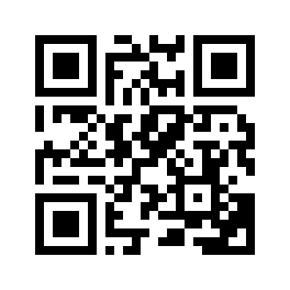 QR Code qr.bilesin.kz